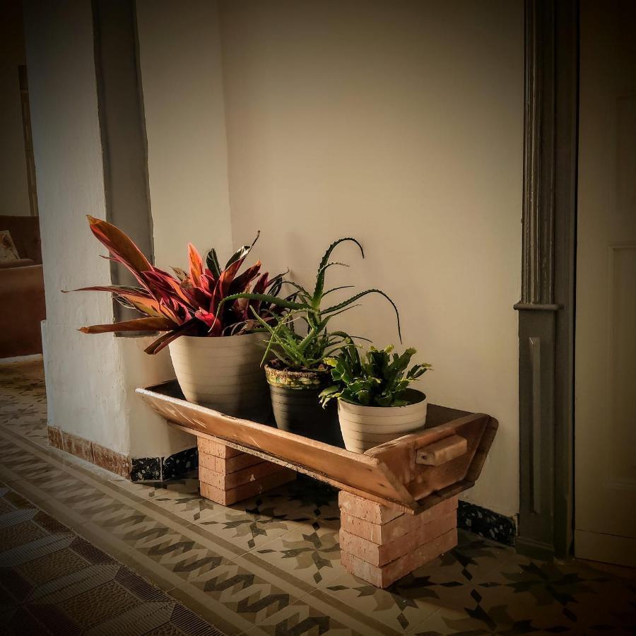 Casa Rural Maribel Santa Amalia Екстер'єр фото